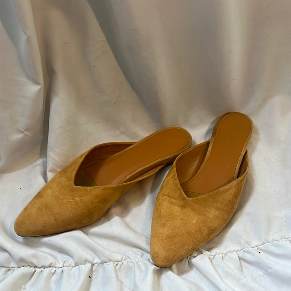 Everlane The V Mule, Yellow Suede